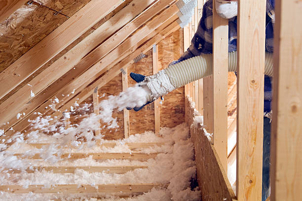 Best Insulation Air Sealing  in Maysville, MO